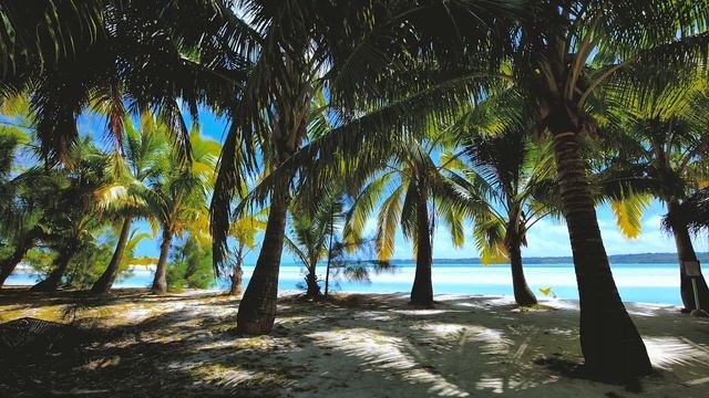 Mwen Sonje Lontan смотреть онлайн