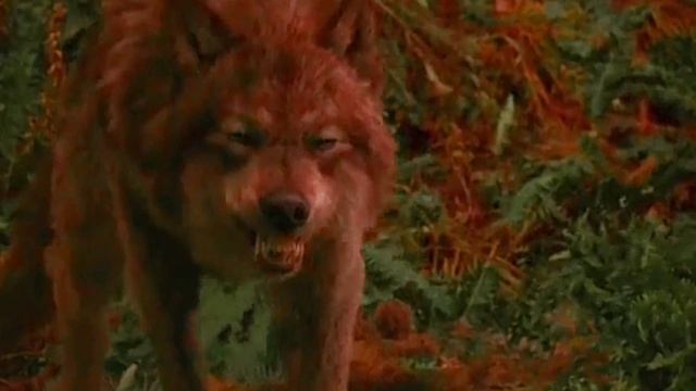 Клип/Сумерки/Там/Джейкоб и Белла смотреть онлайн