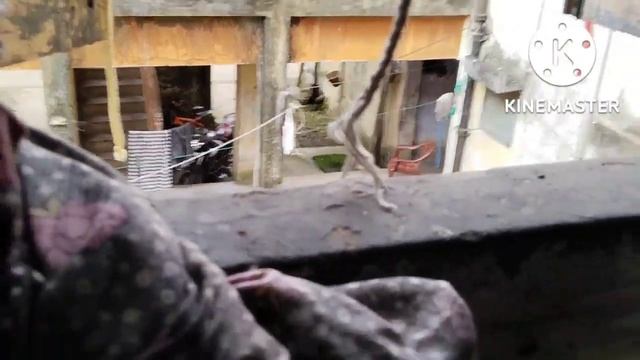 I saw Sorav Joshi sir out side of my window 😮😮#viralvideo #trend#souravjoshivlogs смотреть онлайн