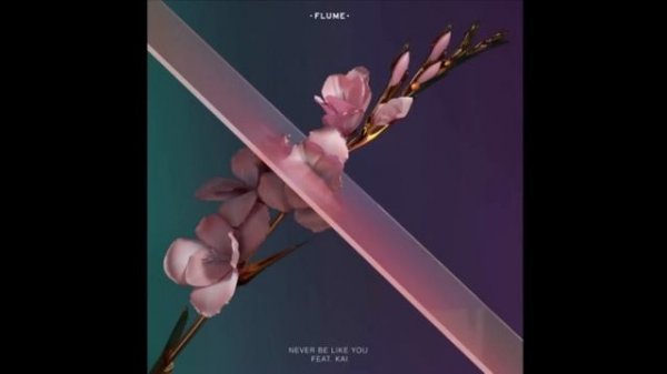 Flume - Never Be Like You feat. Kai (Clean) [RADIO EDIT]