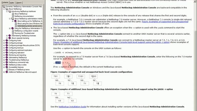 NetBackup Interfaces смотреть онлайн