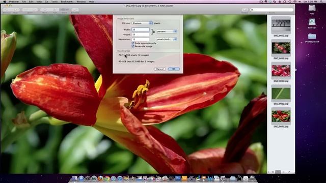 How to Resize Multiple Photos in Apple OS X смотреть онлайн