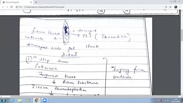 Blood Clotting Class XI Oct 20 смотреть онлайн
