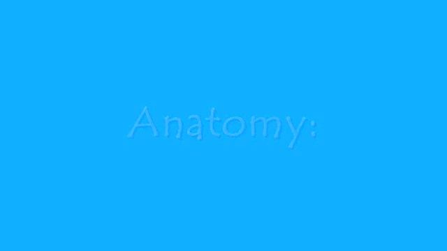 Marine Bio Project.wmv смотреть онлайн
