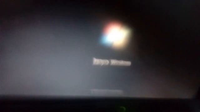 windows 7 и да смотрите описание и это снимал кот плей смотреть онлайн