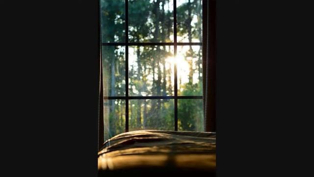 Sundrenched - Fresh Air Through My Window смотреть онлайн