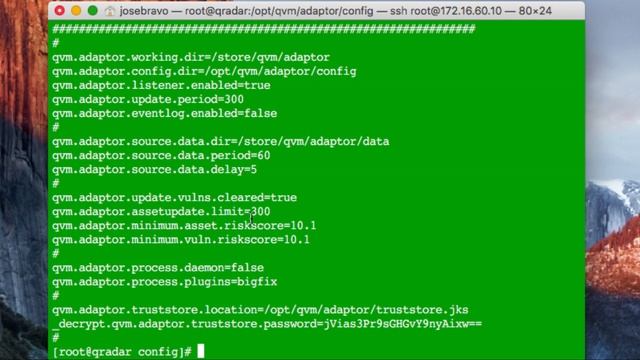 BigFix/QRadar Integration Demo смотреть онлайн