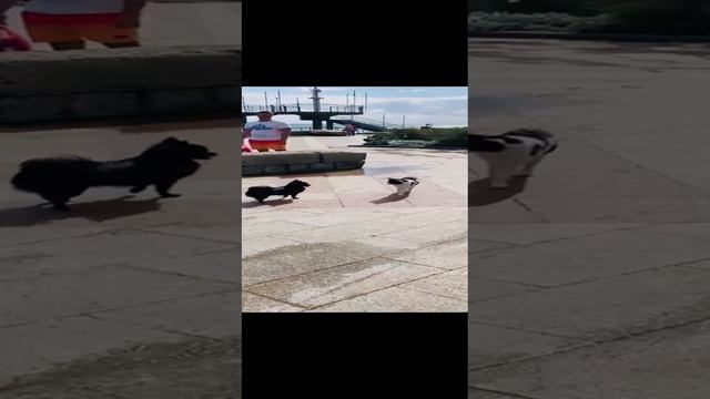 Вот эта встреча!