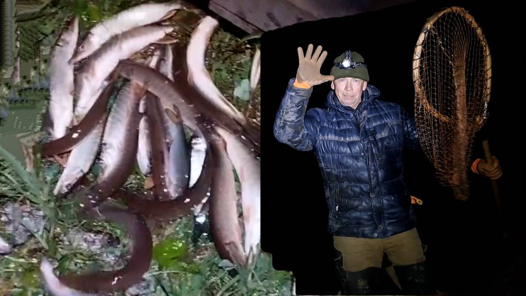 Ловля щуки ночью саком. смотреть онлайн