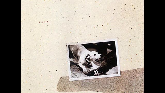 TUSK - WHAT MAKES YOU THINK YOU'RE THE ONE смотреть онлайн