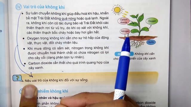 KHOA HỌC TỰ NHIÊN LỚP 6 - KẾT NỐI TRI THỨC - CHƯƠNG 2 - BÀI 11 - OXYGEN VÀ KHÔNG KHÍ - TIẾT 2 смотреть онлайн