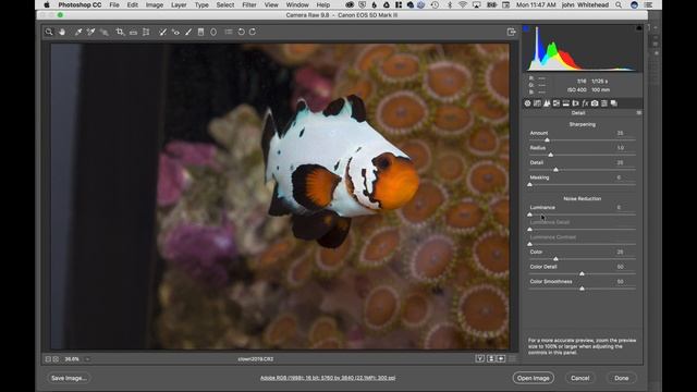 Adobe Photoshop CC 2017 Lesson 12 Adobe Camera Raw смотреть онлайн