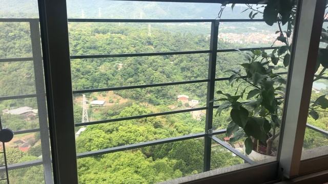 For Window-Swap смотреть онлайн