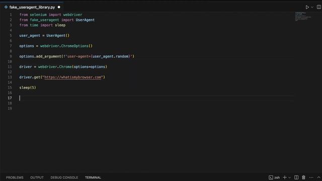 Python Selenium Guide: Using Fake User Agents смотреть онлайн