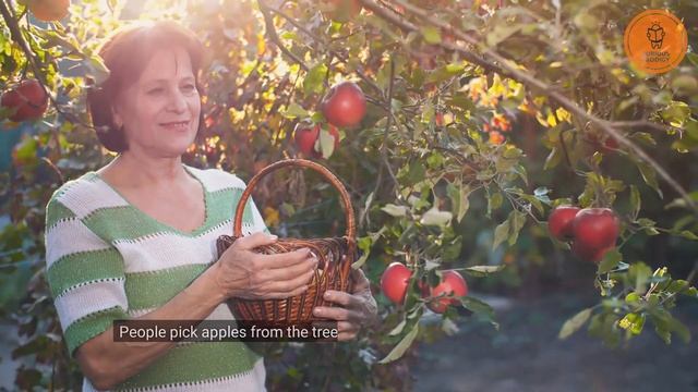 An Ode to Apples: Sweet, Crisp, and Delicious смотреть онлайн