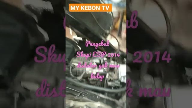 Honda Scoopy ESP 2014 distater gak mau hidup, cek ini dulu yak смотреть онлайн