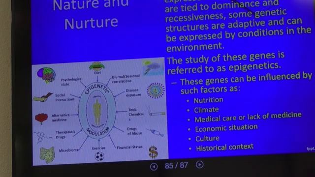 Health Psychology 10 February смотреть онлайн