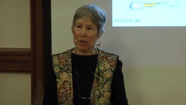 Misconceptions About Conception and Other Fallacies Historical Biias iReproductive Biol смотреть онлайн