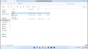 OMG.exe on Windows 11