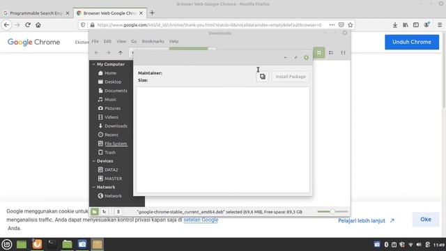 Linux Mint 20 : How To Install Google Chrome Browser смотреть онлайн