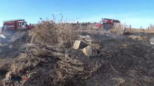 Пожар 10. Волково 18.03.2019