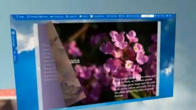 Flip PDF - flip book maker for html5 смотреть онлайн