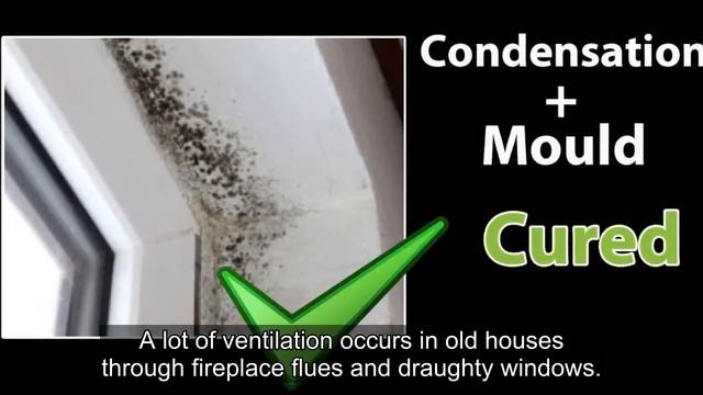 What will stop the condensation and black mould by my windows? смотреть онлайн