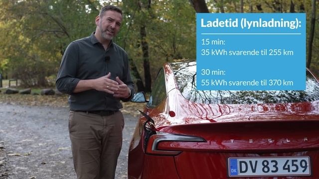 FDM Tester: Tesla Model 3 Facelift