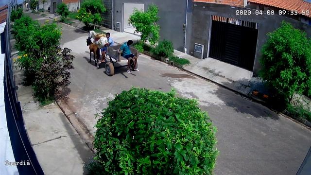 ICSSE CÂMERAS IP - XMEYE(58) смотреть онлайн