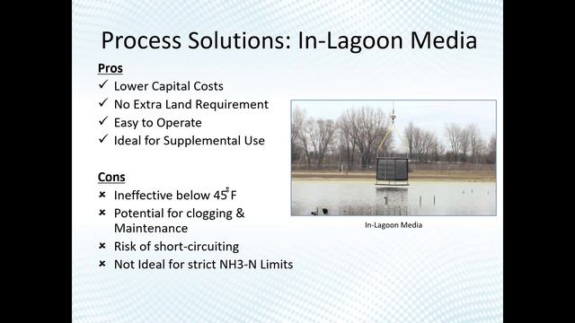 Ammonia Removal for Lagoons смотреть онлайн