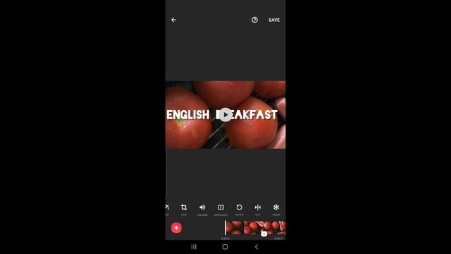 FREE EDITING PROFESSIONAL SOFTWARE FOR BEGINNER: IPHONE(ISO), SAMSUNG (ANDROID) & WINDOWS DEVICES смотреть онлайн
