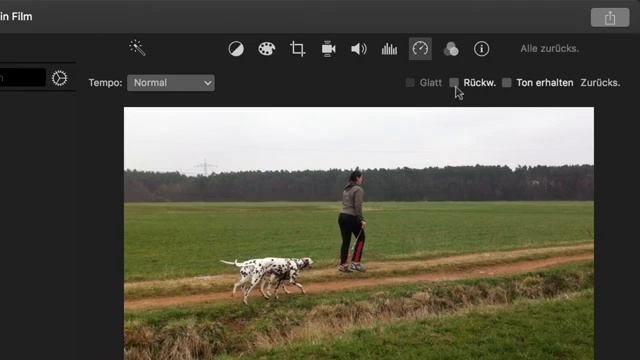 iMovie: Video rückwärts abspielen смотреть онлайн