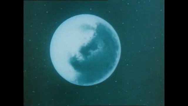 What do you see out of your window at night? #jamuary2021 #jamuary смотреть онлайн