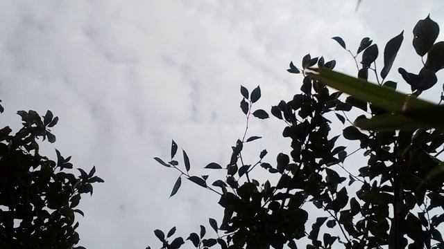 20241020_123856.mp4 смотреть онлайн