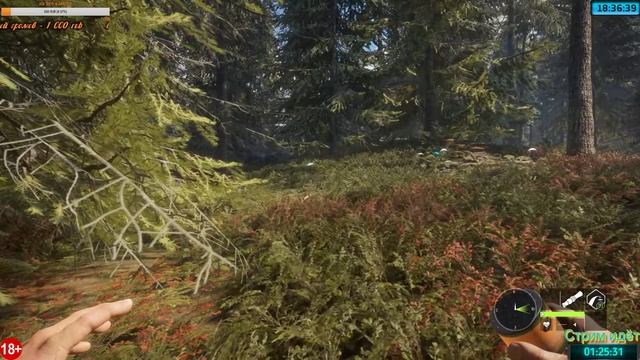 theHunter: Call of the Wild Осваиваю АРБАЛЕТ смотреть онлайн