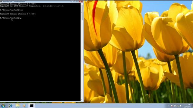 Microsoft Disk Operating System Odia : Check Windows Version | VER Command | ଓଡ଼ିଆ ରେ ଶିଖନ୍ତୁ смотреть онлайн