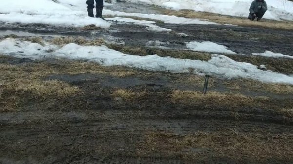 Зерновоз засел