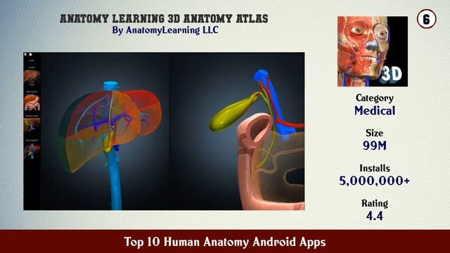 Top 10 Human Anatomy Android Apps смотреть онлайн