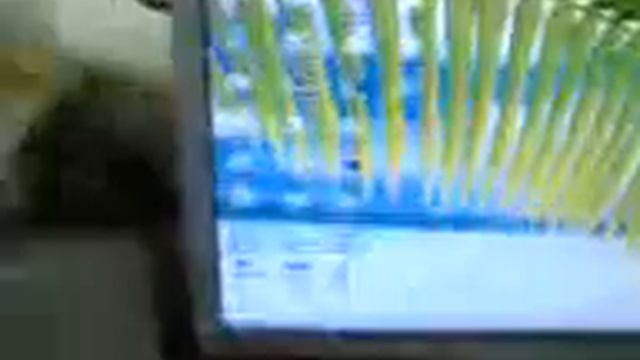 hp pavilion смотреть онлайн