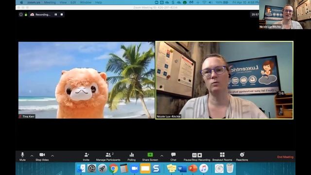 Illuminating Women Workshop, Zoom Training Part 2: How to use Security & Screen features. смотреть онлайн
