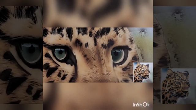 Photo realism time-lapse airbrush artwork of a jaguar смотреть онлайн