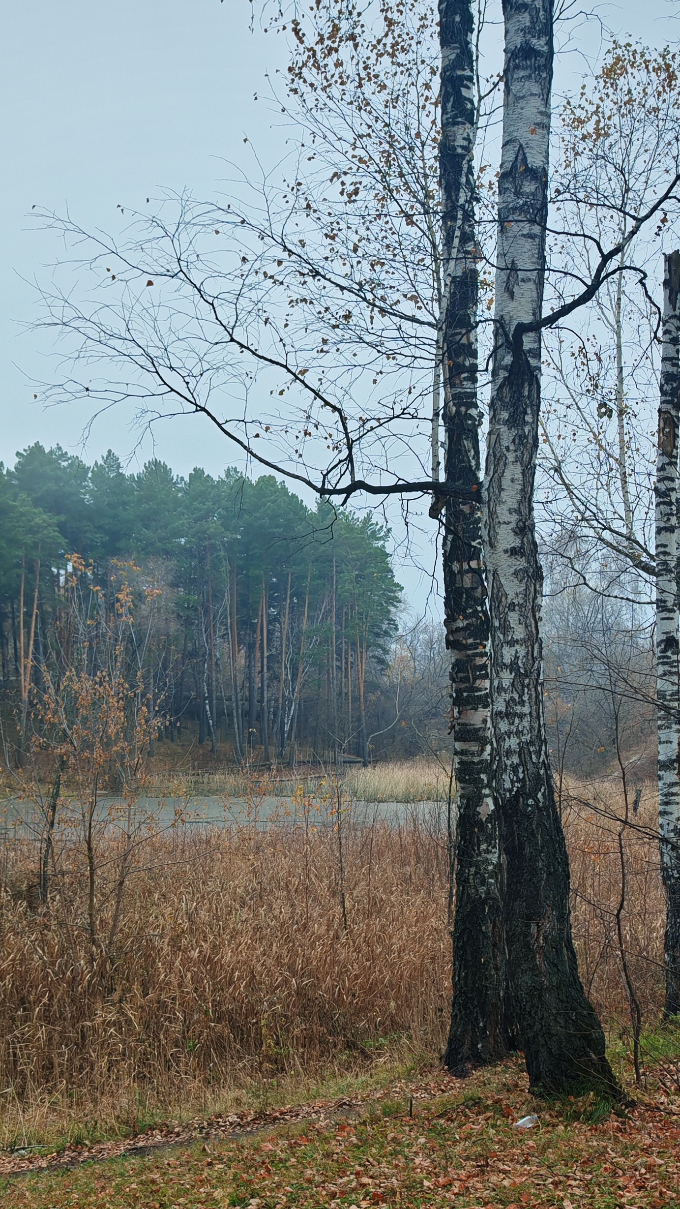 Не стреляй смотреть онлайн