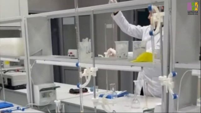 Проект профессиональное обучение без границ смотреть онлайн