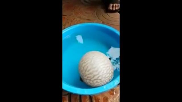 Wins and Fails Compilation смотреть онлайн