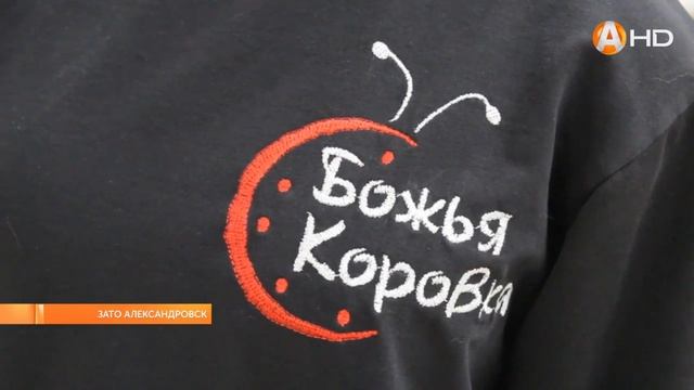 Из 3-х в 250, или Как за 10 лет выросло одно из лучших в Гаджиево хореографических объединений?