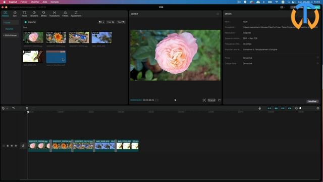 Donner vie à vos diaporamas avec capcut mac et pc смотреть онлайн