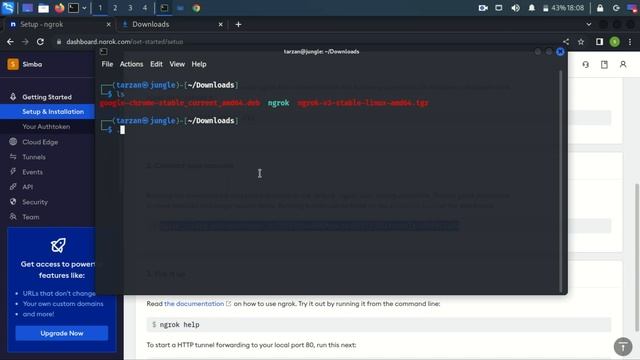 How to download and install ngrok on Kali Linux | Kali Linux 2022.2 | Step by Step | 100% working смотреть онлайн