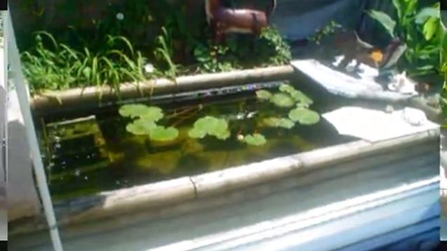 Our Fish Pond with a New Awesome Window View & More! July 13th, 2016... смотреть онлайн