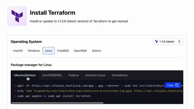 How to Install Terraform CLI - Terraform for Beginners смотреть онлайн