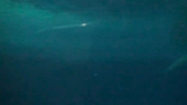 a1137 смотреть онлайн